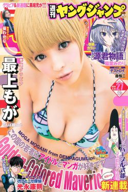 爱奴新传